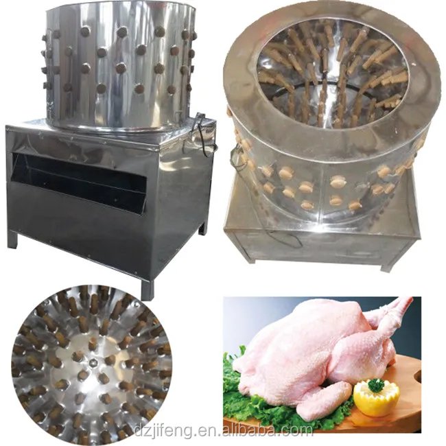 đá gà tre cựa sắt miền tây,Đá Gà Tre Cựa Sắt Miền Tây: Thứ Hai Cho Tiêu Đề Bài Viết đá gà tre cựa sắt miền tây,Đá Gà Tre Cựa Sắt Miền Tây: Thứ Hai Cho Tiêu Đề Bài Viết