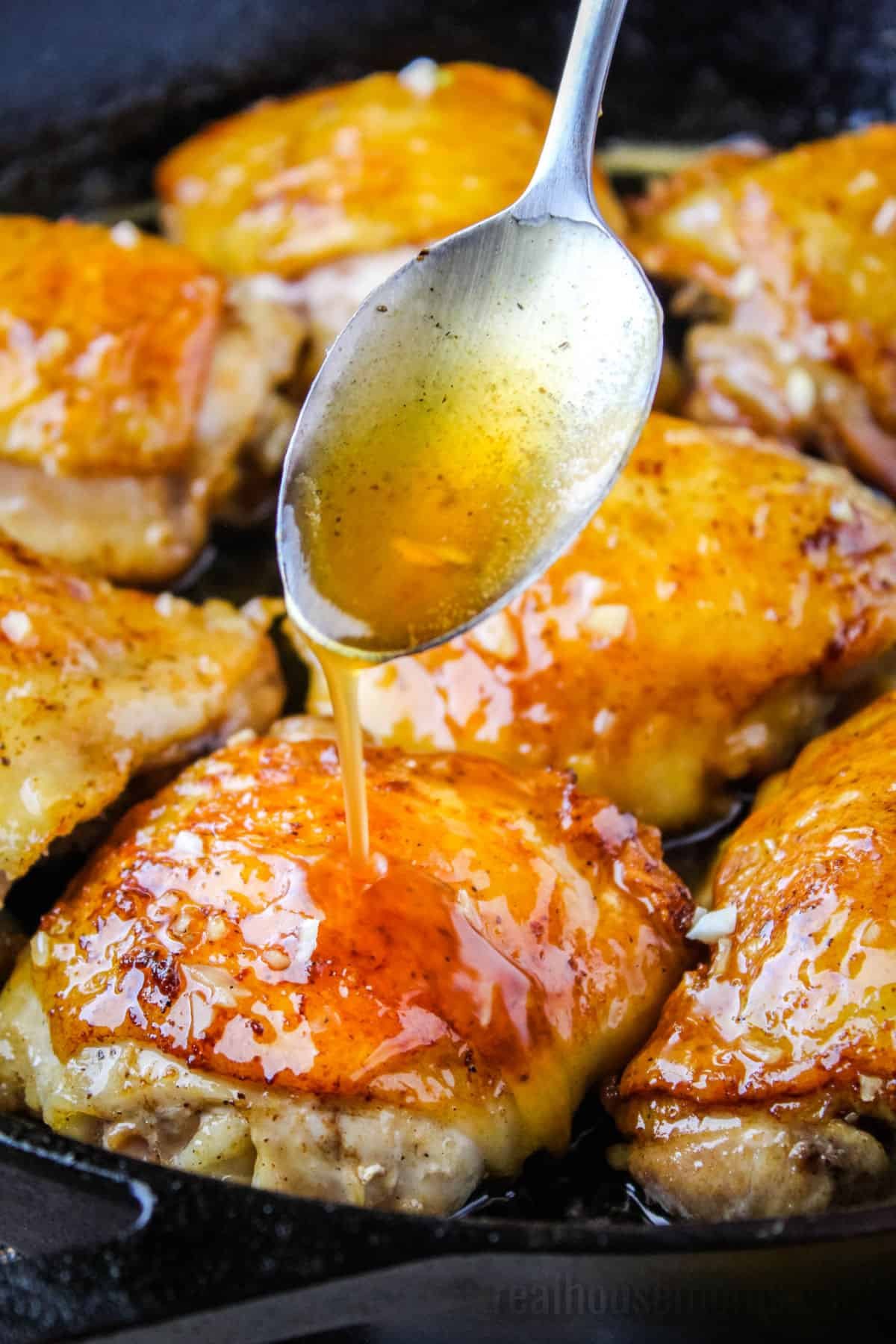 đá gà thomo mới hôm nay,Giới thiệu về Thomo